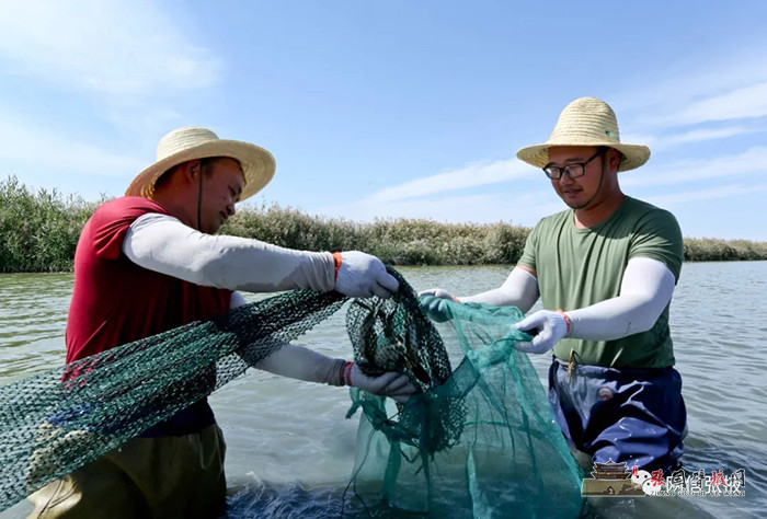 640 (1).webp (2).jpg