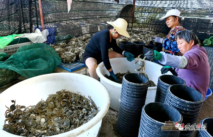 640 (1).webp (4).jpg