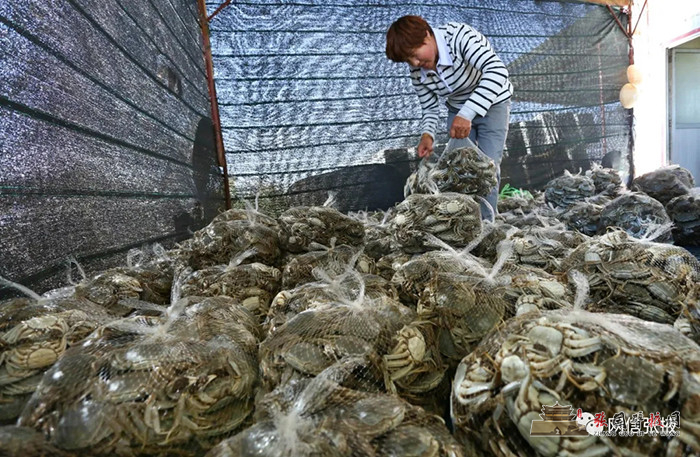 640 (1).webp (6).jpg