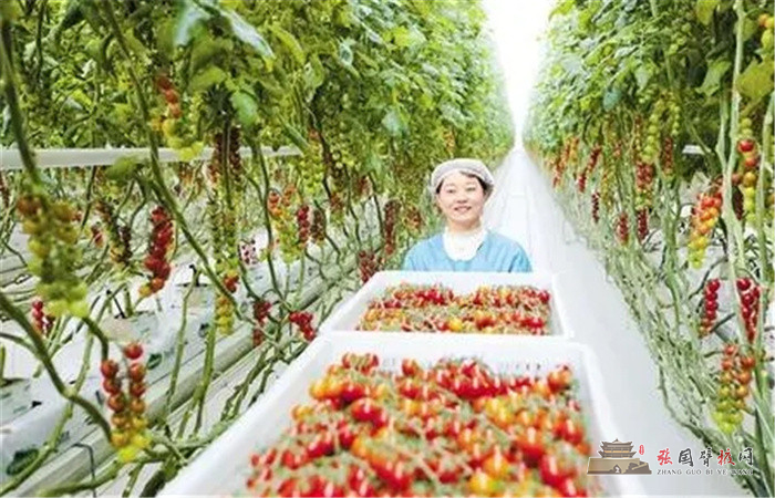 640 (1).webp (1).jpg