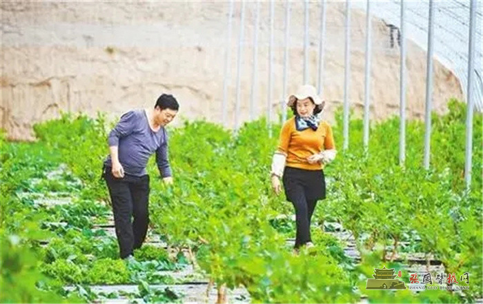 640 (1).webp (2).jpg