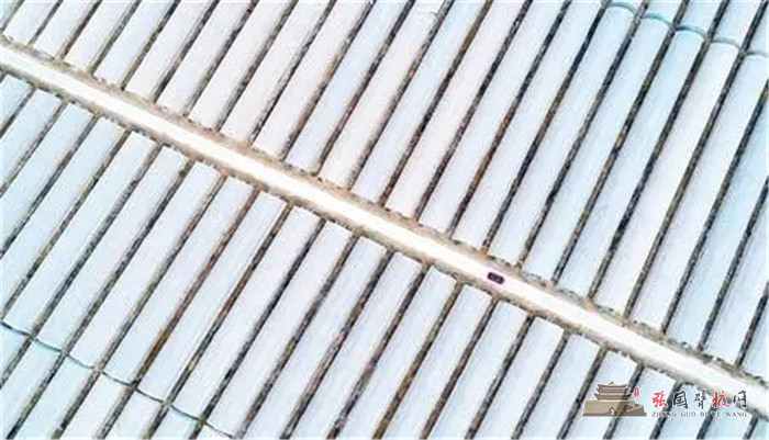 640 (1).webp (3).jpg