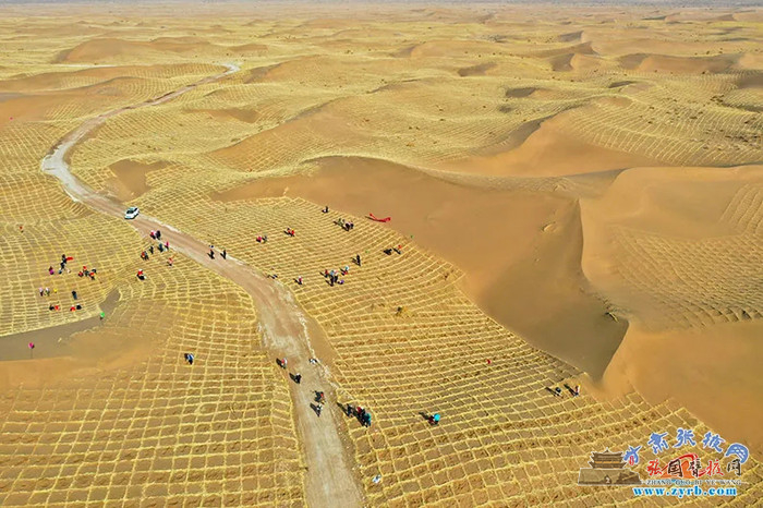 640 (2).webp (3).jpg