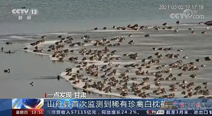微信图片_20210423162029.jpg