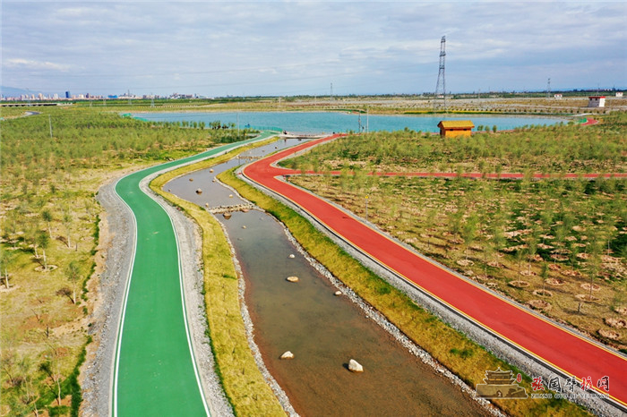黑河胡杨林07.jpg