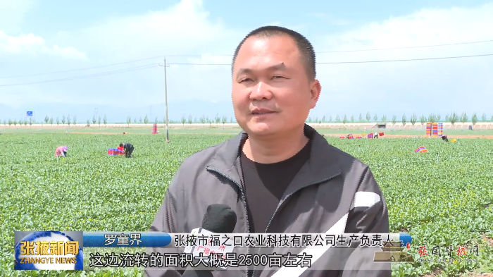 微信图片_20210530161711.png