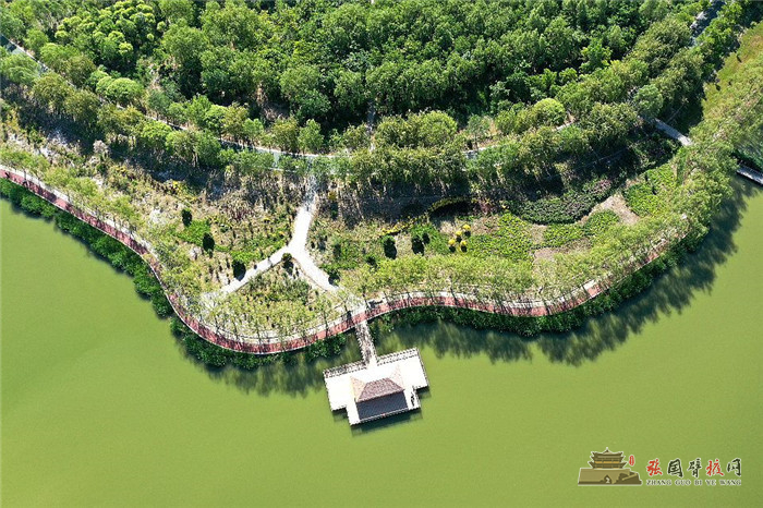 DJI_0264_副本.jpg