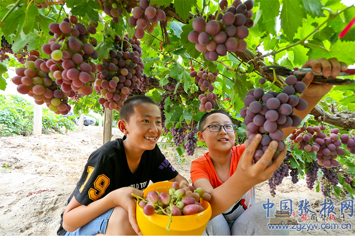 微信图片_20210610151136.png