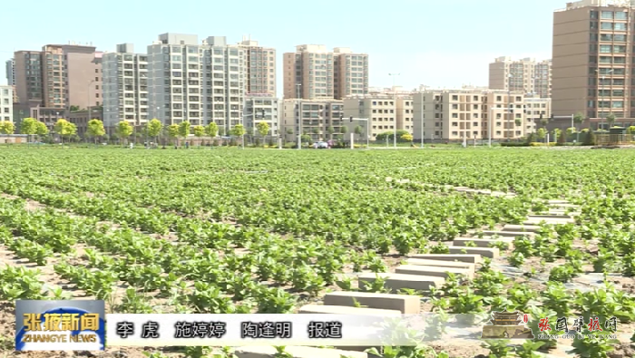 微信图片_20210620181348.png