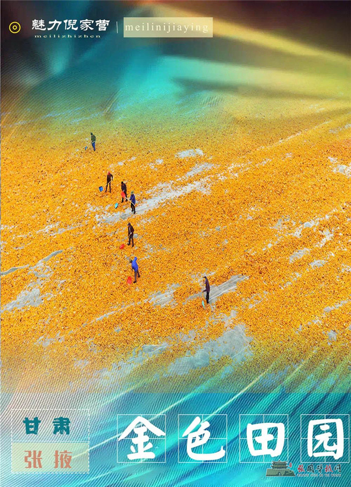 微信图片_20210709160855.jpg