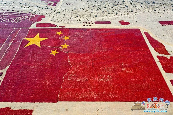 微信图片_20211001182838.jpg