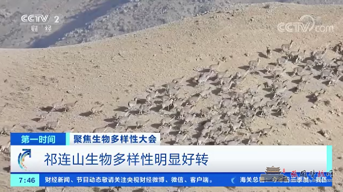微信图片_20211014182641.png