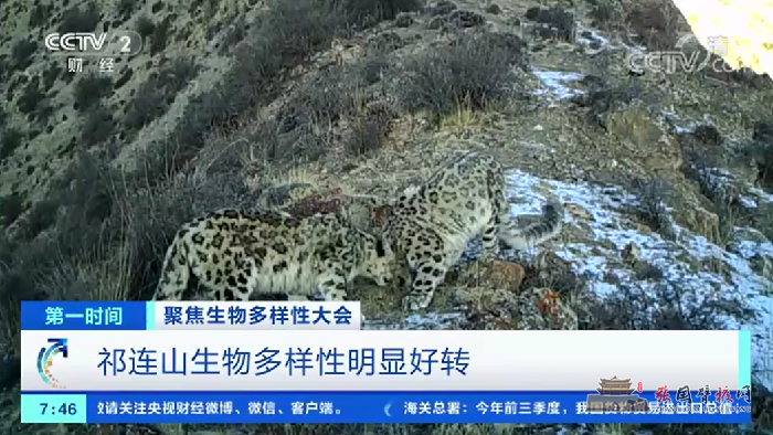 微信图片_20211014182643.png