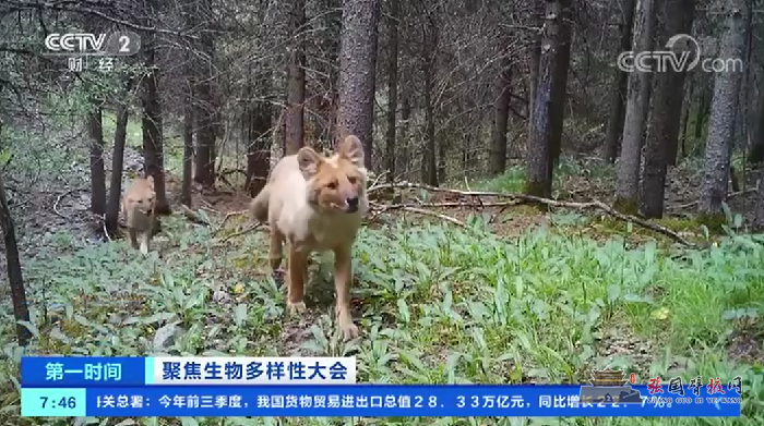 微信图片_20211014182645.png