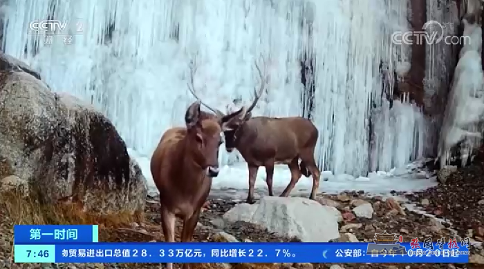 微信图片_20211014182648.png