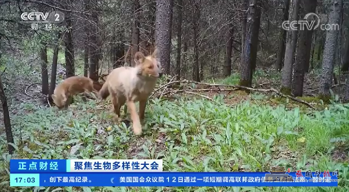 微信图片_20211014182707.png