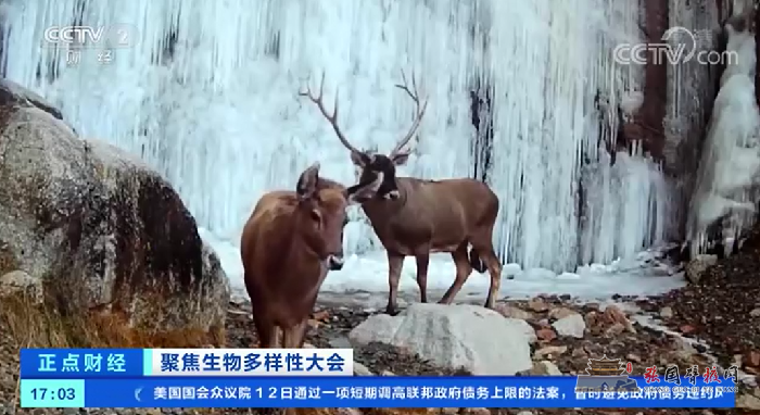 微信图片_20211014182712.png
