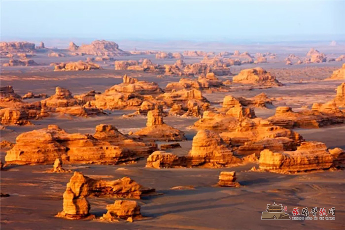 640.webp (25).jpg
