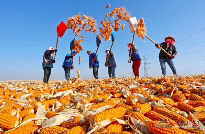 微信图片_20211114123024.jpg