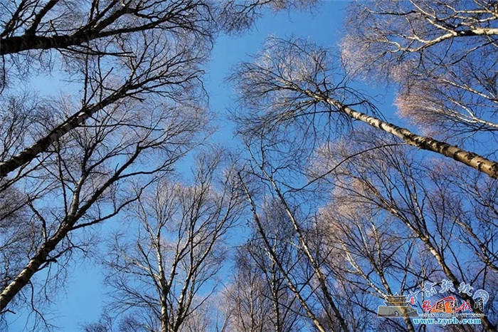 20211206_223900_037.jpg