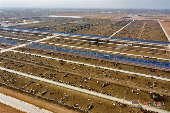 微信图片_20211223101121.jpg