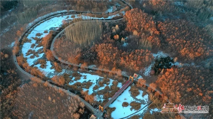 20211230_110413_028.jpg