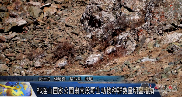 微信图片_20220112180648.png
