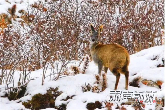 微信图片_20220207171129.jpg