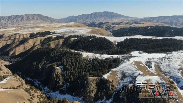 微信图片_20220207171132.jpg