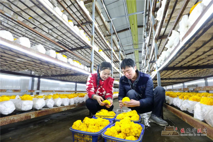 微信图片_20220211152710.jpg