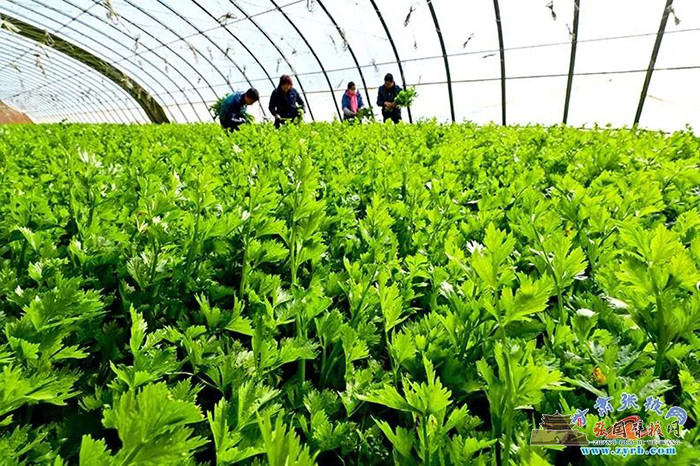 640 (4).jpg