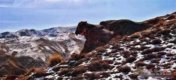 20220310_163044_000.jpg
