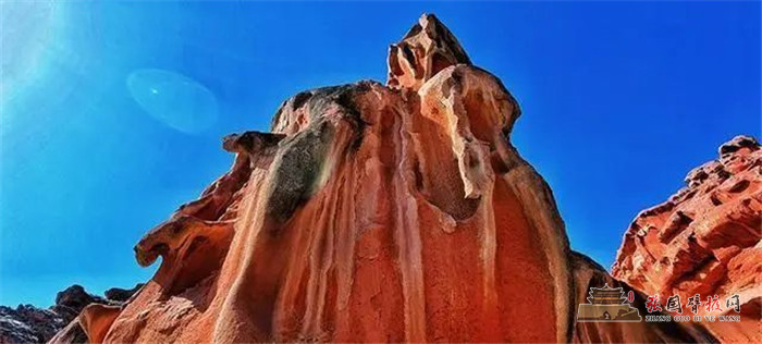 20220310_163044_007.jpg