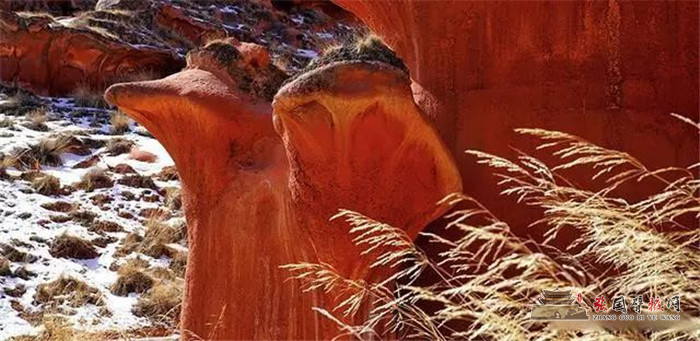 20220310_163044_008.jpg
