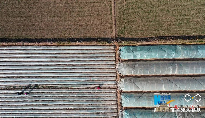 640 (19).jpg
