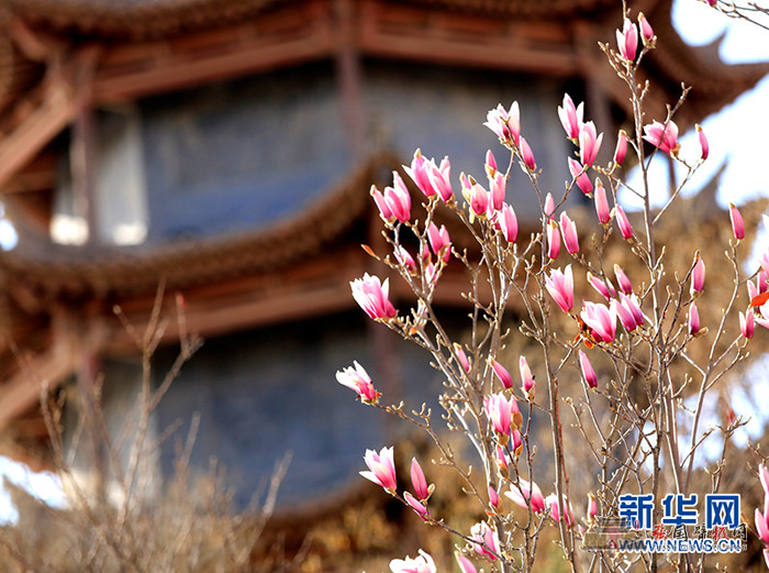 微信图片_20220409085013.jpg