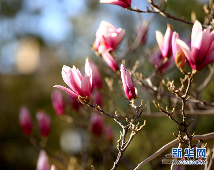 微信图片_20220409085018.jpg