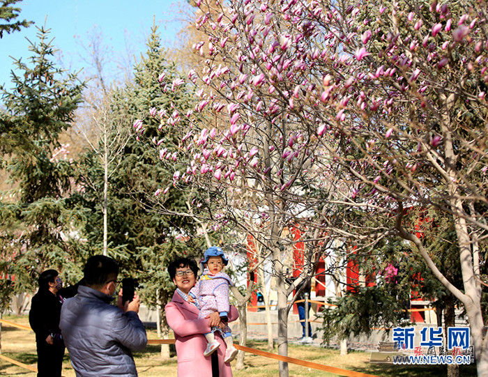 微信图片_20220409085021.jpg