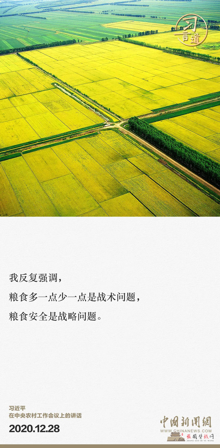 91.jpg