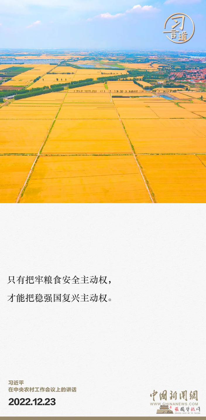 93.jpg