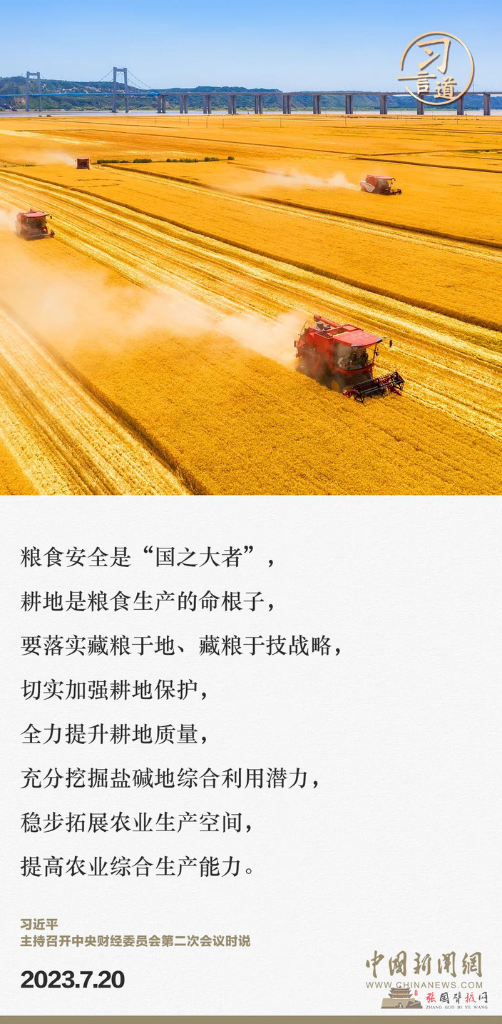 95.jpg