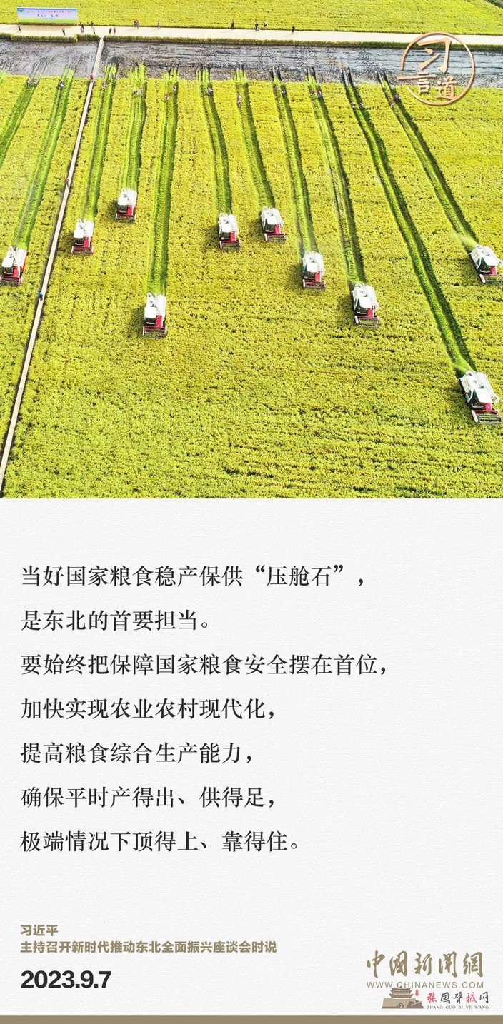 96.jpg