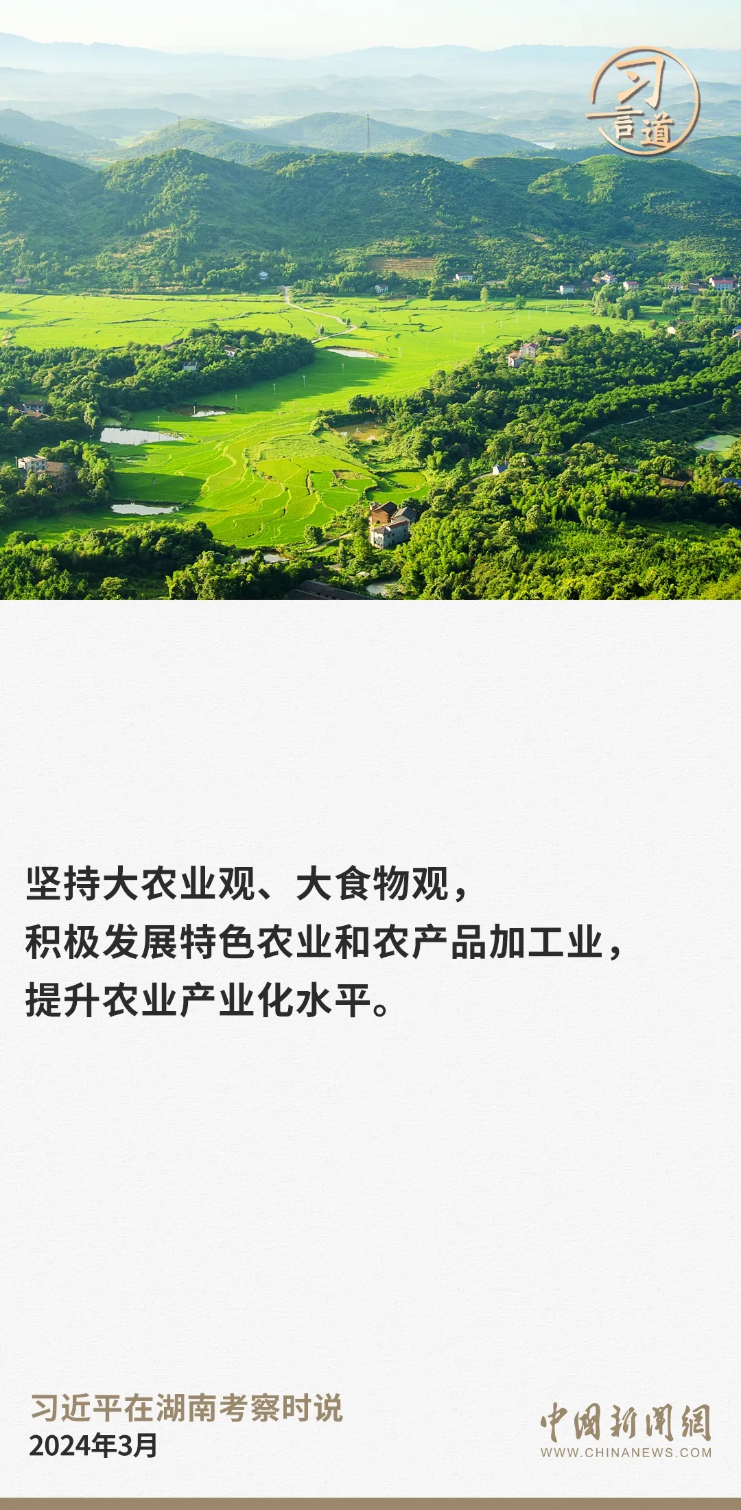 53.webp.jpg
