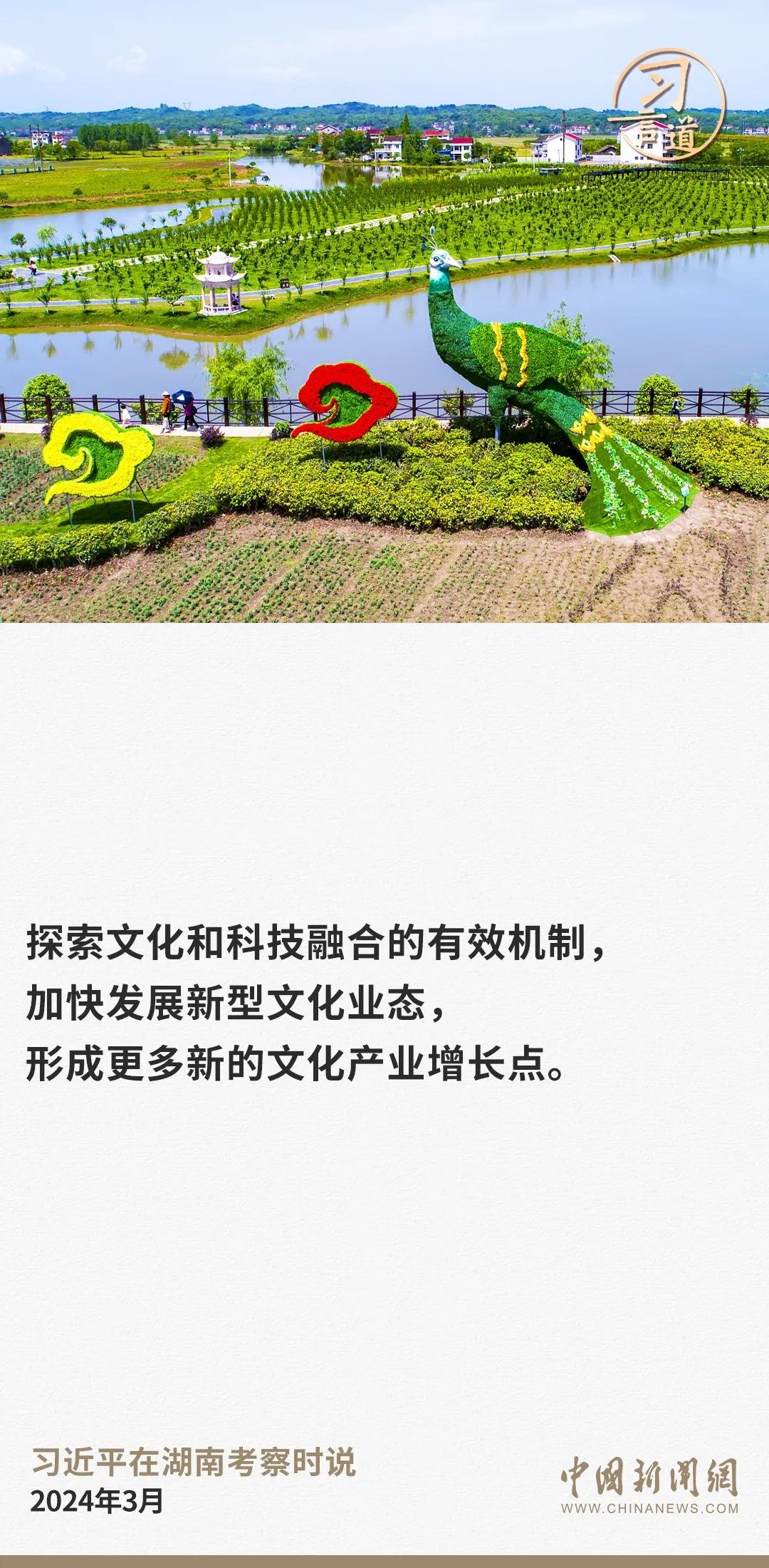57.webp.jpg
