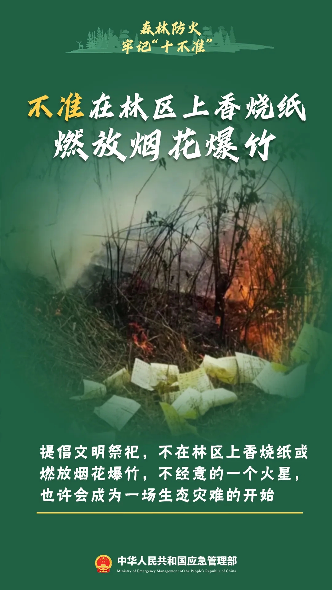 36.webp.jpg