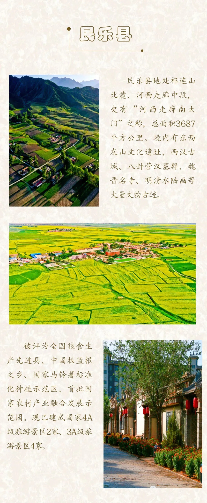 212.webp.jpg