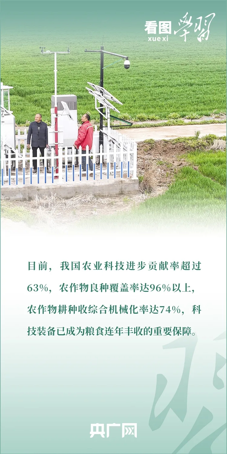 610.webp.jpg