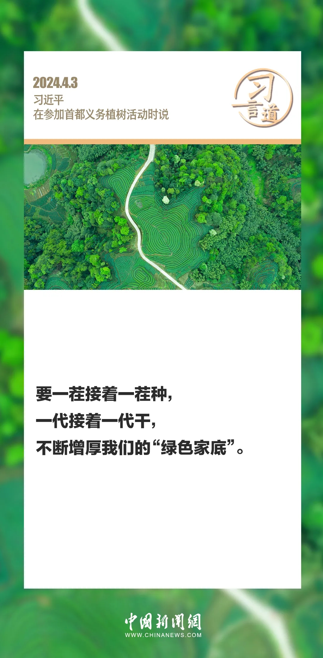 55.webp.jpg