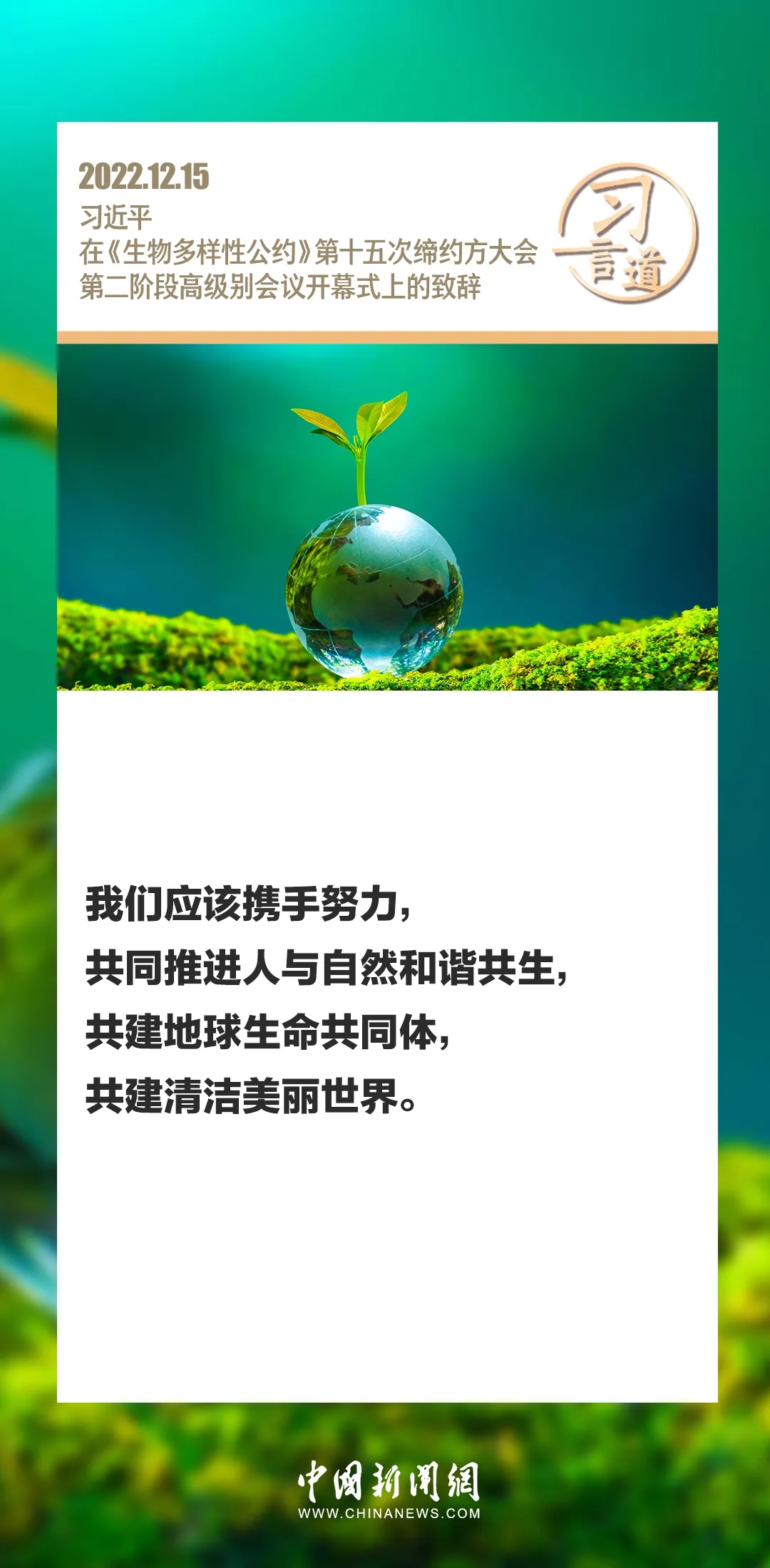 56.webp.jpg