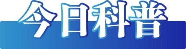 202503196c712ddd52bb43fc800b086e112498b9_2025031989ac6bb83b5448dc89c06b0686ec8193.jpeg